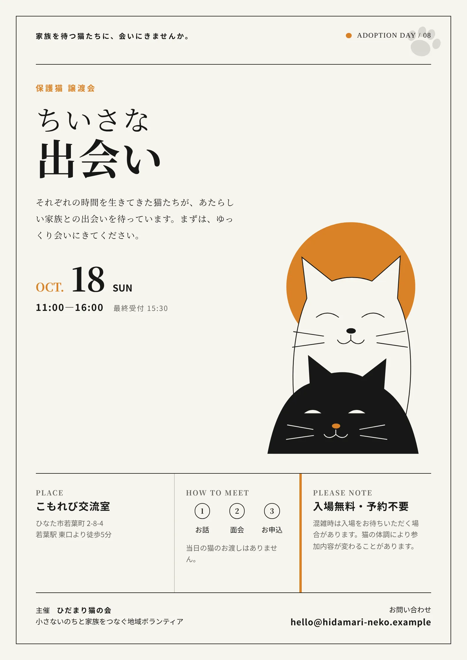 保護猫譲渡会 ちいさな出会い — 見た目